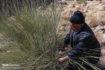 «تَرکه بافی» در دستان هنرمند پیرمرد مهریزی نفس می‌کشد