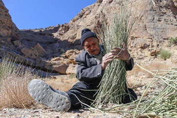 ببینید | «تَرکه بافی» در دستان هنرمند پیرمرد مهریزی نفس می‌کشد