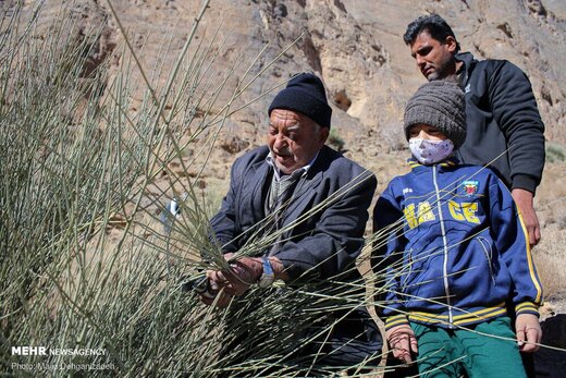 «تَرکه بافی» در دستان هنرمند پیرمرد مهریزی نفس می‌کشد