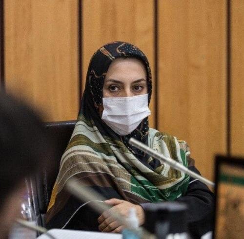 ضرورت تشکیل کارگروه ارتقای فرهنگ شهروندی