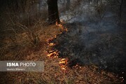 مهار آتش‌سوزی ۱۴ساعته در جنگل‌های جهرم