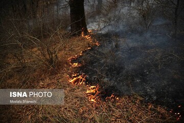مهار آتش‌سوزی ۱۴ساعته در جنگل‌های جهرم