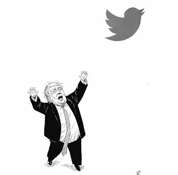 ببینید: مرغ ترامپ از قفس پرید!