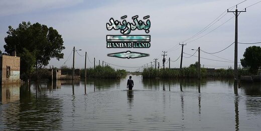 تندیس طلایی ببر بنگال به منیژه حکمت رسید