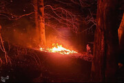 آتش‌سوزی در پارک ملی گلستان پس از ۴۸ ساعت مهار شد