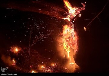 آتش سوزی در جنگلهای اشکورات گیلان