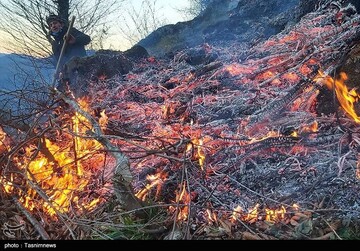 آتش سوزی در جنگلهای اشکورات گیلان