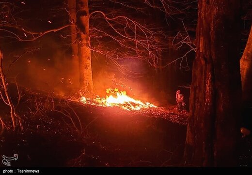آتش سوزی در جنگلهای اشکورات گیلان