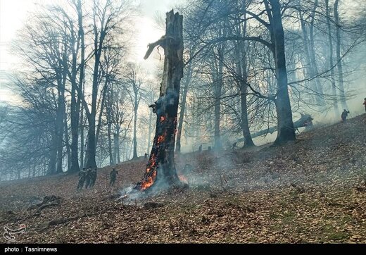آتش سوزی در جنگلهای اشکورات گیلان