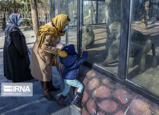 بازگشایی باغ وحش ارم تهران