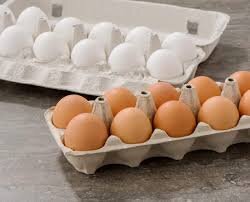 زیان ۷ هزار تومانی مرغداران در فروش هر کیلو تخم‌مرغ 