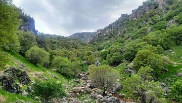 آبشارهای فصلی نگل، روستای سفید خانی، شهرستان سیروان در استان ایلام
