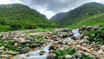 آبشارهای فصلی نگل، روستای سفید خانی، شهرستان سیروان در استان ایلام