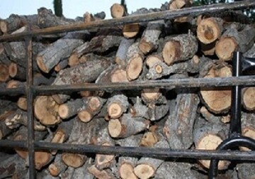 کشف ۲ تن چوب قاچاق در چرام
