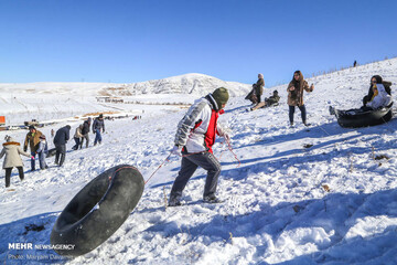 تصاویر | طبیعت برفی خراسان شمالی