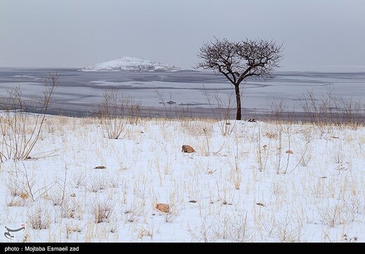 طبیعت زمستانی دریاچه ارومیه