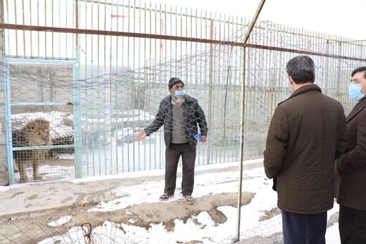 وضعیت باغ وحش ارومیه مناسب نیست