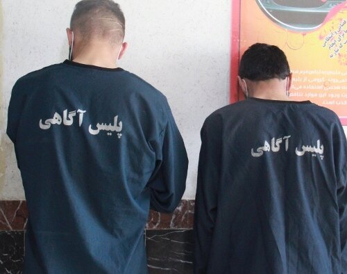 کشف ۶۰فقره سرقت خودرو در شهرستان البرز