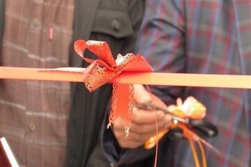 فاز نخست مزرعه ۴۰۰هکتاری پرورش میگو در شور دوم بندرعباس افتتاح شد