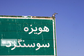مهاجران هورالعظیم