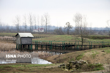 تصاویر | تالاب انزلی؛ یکی از زیباترین مناظر آبی در شمال ایران
