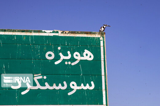 مهاجران هورالعظیم
