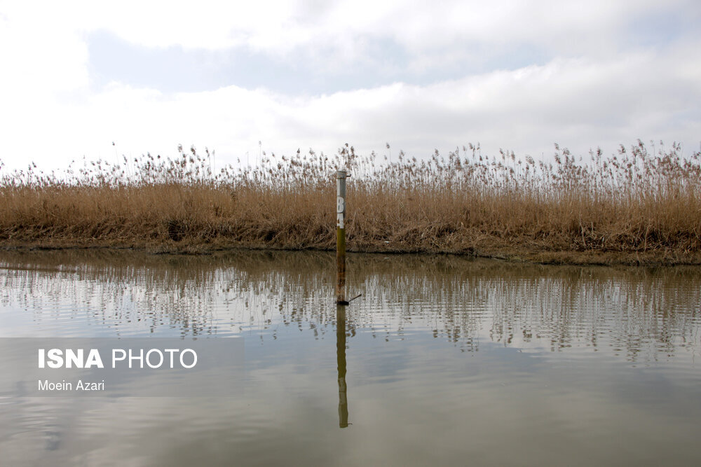 تالاب «انزلی»
