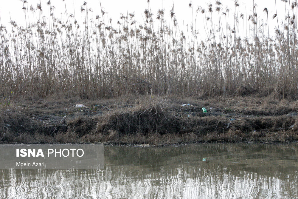 تالاب «انزلی»