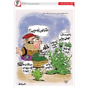 ببینید ملخ‌ها دوباره حمله کردن!