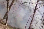 ببینید | جنگل های رامسر غرق در آتش و دود