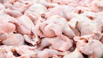 سرانه مصرف مرغ در کشور چند کیلوگرم است؟