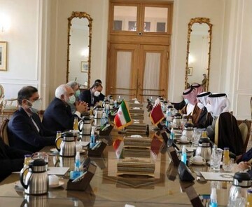FM Zarif urges collective measures for settling regional issues