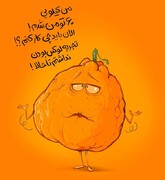 ببینید: نارنگی‌ها غافلگیر شدن!