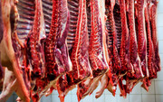 قیمت روز گوشت قرمز در بازار خرده فروشی/راسته با استخوان گوسفندی چند؟