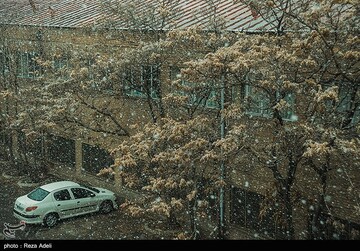آخرین نفس های زمستان در تبریز