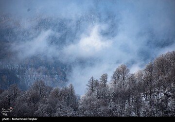 طبیعت برفی مسیر سیاهکل به دیلمان