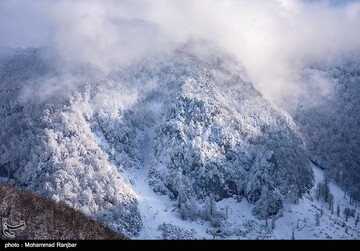 طبیعت برفی مسیر سیاهکل به دیلمان