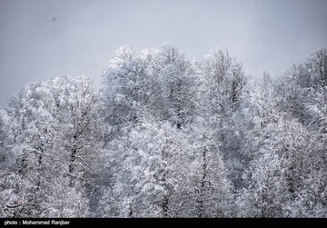 طبیعت برفی مسیر سیاهکل به دیلمان