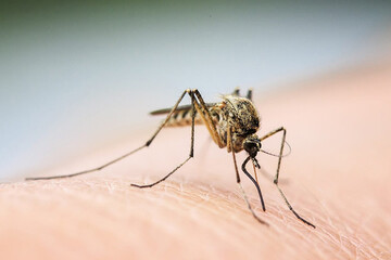 این لباس جلوی نیش زدن پشه‌ها را می‌گیرد
