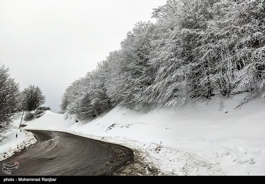 طبیعت برفی مسیر سیاهکل به دیلمان
