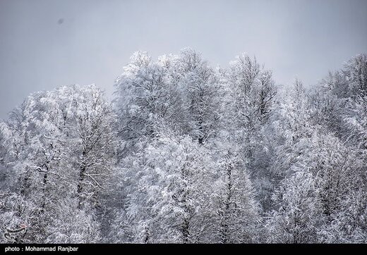 طبیعت برفی مسیر سیاهکل به دیلمان