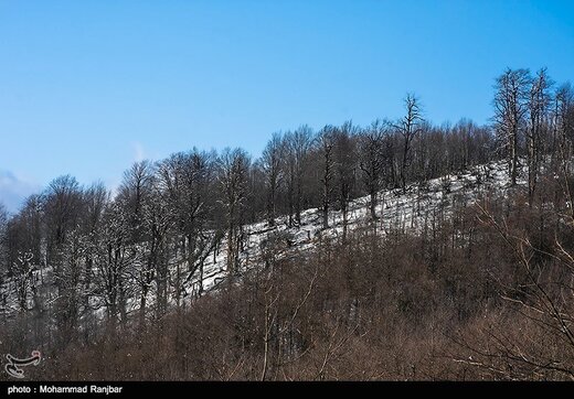 طبیعت برفی مسیر سیاهکل به دیلمان