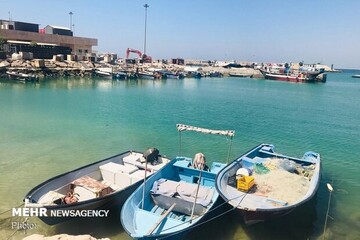 دریابانی موظف به برخورد با شناورهای متخلف در جابجایی مسافر است