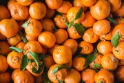 چرایی گرانی نارنگی در بازار