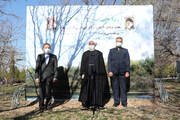 روحانی:حفظ وگسترش درختان و مراتع به معنای امنیت غذایی و ملی است
