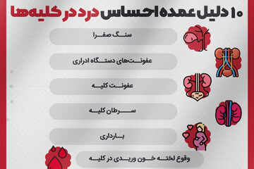ببینید | ۱۰ دلیل عمده احساس درد در کلیه ها