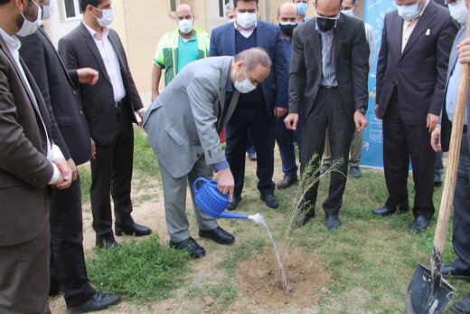 اقدامات موفق خوزستان برای بیابان زدایی در سالهای اخیر