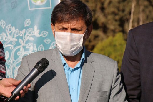 استاندار سمنان : امروزه درخت در زندگی ؛ کالای تزئینی نیست