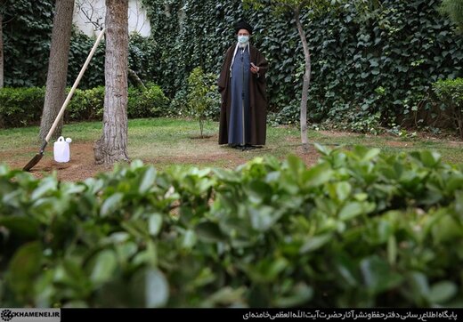 تصویری از رهبر انقلاب درحال درختکاری در حیاط بیت