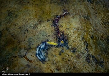 خاطره ی پرواز